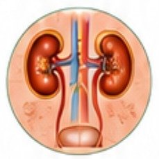 image (3)