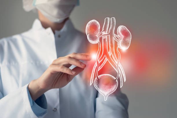 istockphoto 1339092350 612x612